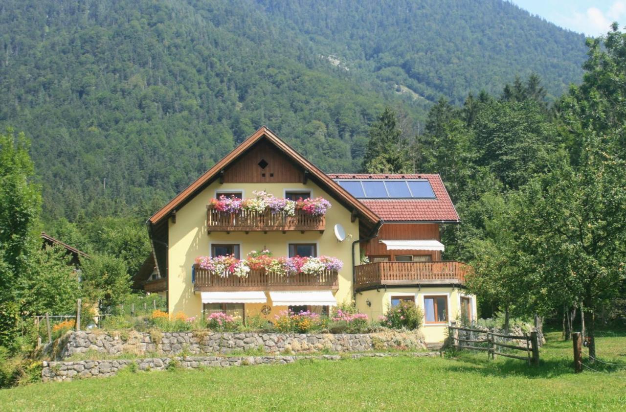 ホテル Haus Hepi オーバートラウン エクステリア 写真